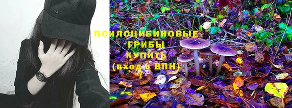 прущие крисы Коряжма