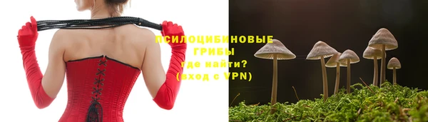 прущие крисы Коряжма