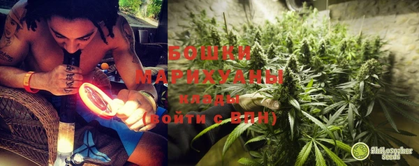 молекула духа Костерёво