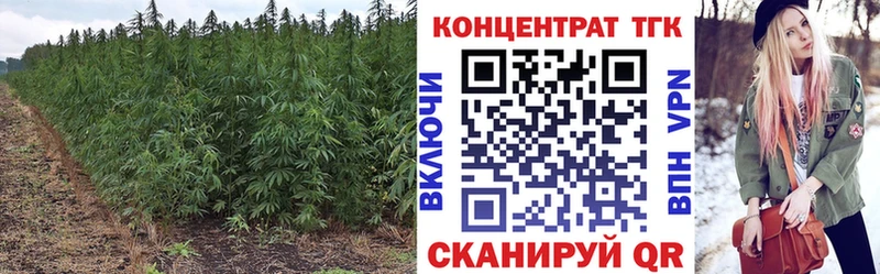 Купить закладки  Баймак  Дистиллят ТГК жижа 