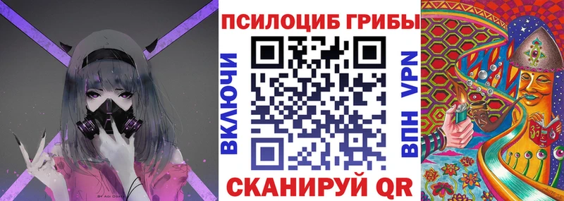 Галлюциногенные грибы Psilocybine cubensis Баймак